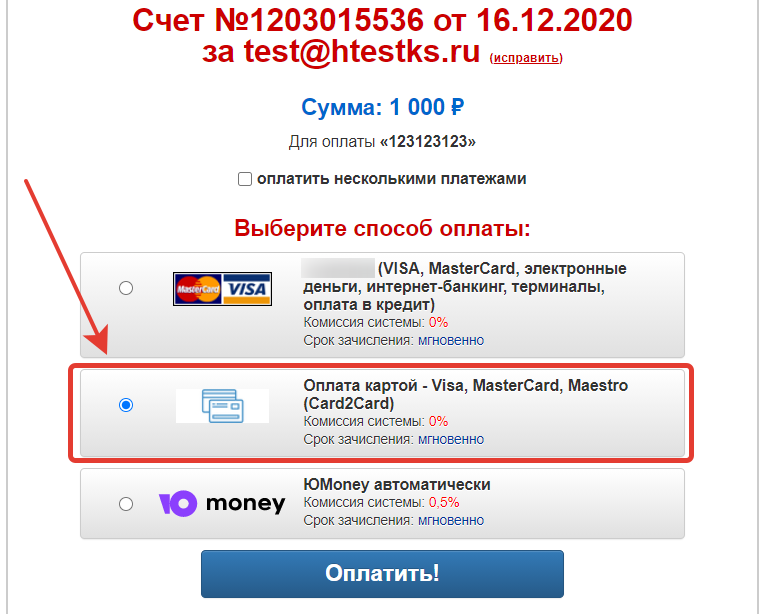 Оплата по картам Visa / Mastercard / Maestro